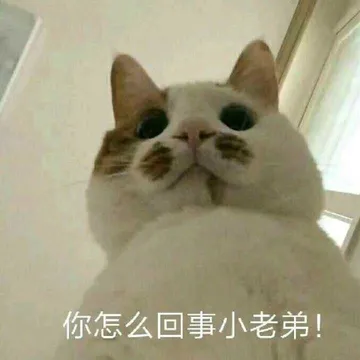 你怎么回事小老弟！
