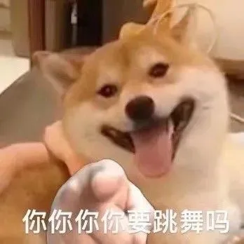 你你你要和我跳舞吗