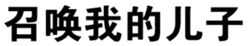 召唤我的儿子