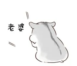 老婆 memes