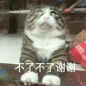 下了不了谢谢