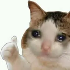 Sad Cat