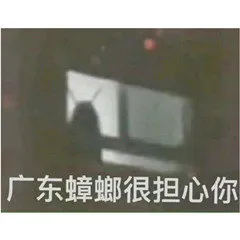 广东蟑螂很担心你