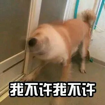 我不许我不许