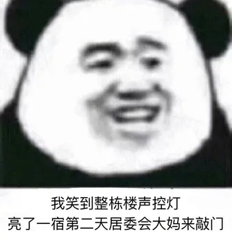 我笑到整栋楼声控灯亮了一宿.第二天居委会大妈来敲门