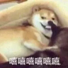 狗子嘻嘻嘻