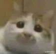 思考中