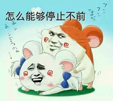 奥特曼主题曲 怎么能够停止不前 两只老鼠