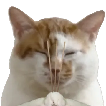 猫猫拜拜 GIF 动图表情包
