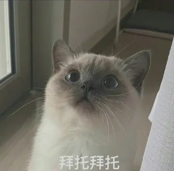 拜托拜托