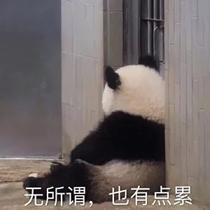 无所谓，也有点累