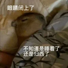 眼睛闭上了不知道是睡着了还是归西了(水豚表情包)