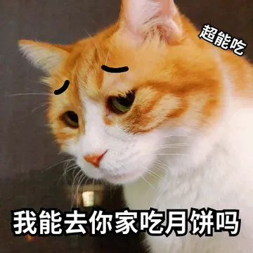 超能吃我能去你家吃月饼吗