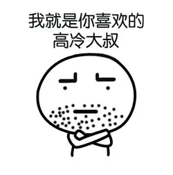 我就是你喜欢的高冷大叔