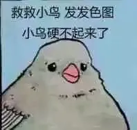 救救小鸟发发色图.小鸟硬不起来了