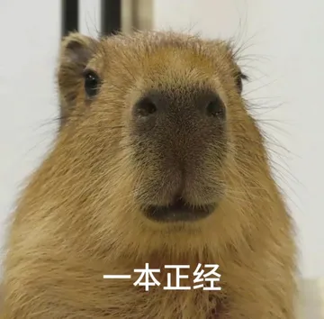 卡皮巴拉表情包第二弹