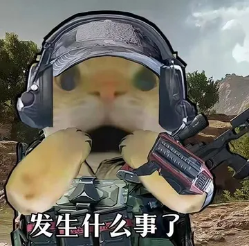 你有哪些好玩的《三角洲行动》表情包?