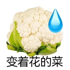 变着花的菜
