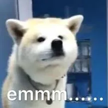 emmm