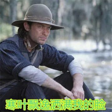寒叶飘逸洒满我的脸
