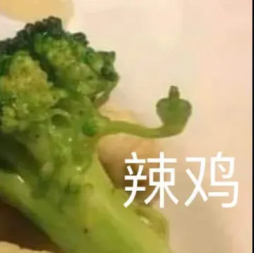 辣鸡