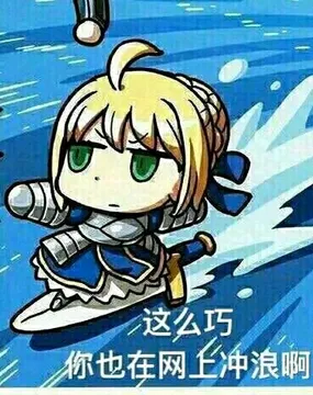 这么巧，你也在网上冲浪啊