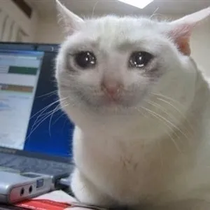 crying cat memes