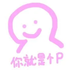 你就是个P