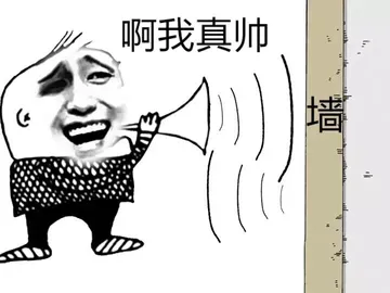 啊，我真帅：墙！