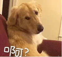 啊？