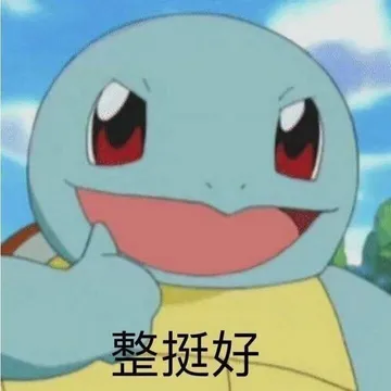 杰尼龟：整挺好