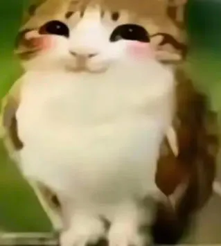 猫头鹰小猫表情包