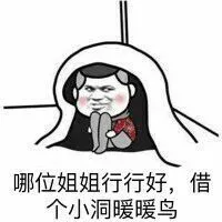 哪位姐姐行行好，借个小洞暖暖鸟
