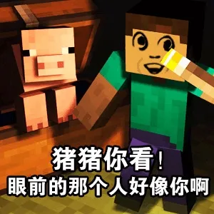 我的世界+反迷你