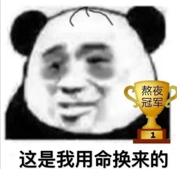 熬夜冠军.这是我用命换来的