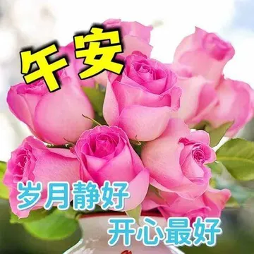 中午好最新表情图片大全,午安问候图片