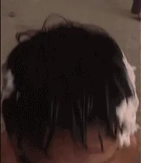 酱爆：包租婆为什么突然之间没水了呢表情包