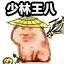 乌龟00014-少林王八