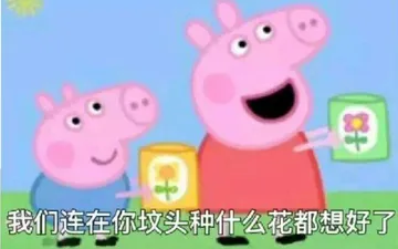 佩奇IV