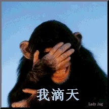 我滴天!(猴子)