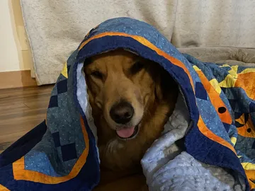 Dark Lord Doggo