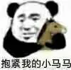 抱紧我的小马马（沙雕马）