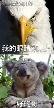 看完华为p60系列的发布会,为什么我脑子里出现的是这组表情包?