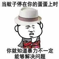当蚊子停在你蛋蛋上时，你就知道暴力不一定能够解决问题