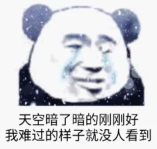 天空暗了暗的刚刚好，我难过的样子就没人看到（熊猫头GIF 动态表情包）