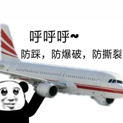 飞机