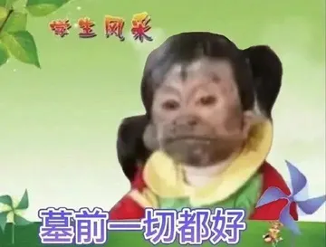 学生风采墓前一切都好(吗喽表情包)