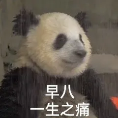 早八 memes