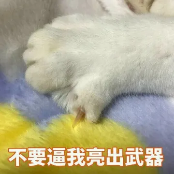 不要逼我亮出武器