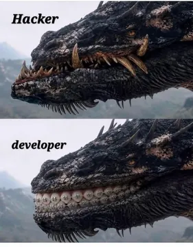 Hacker Meets Developer